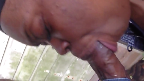 Tattooed bbw milf gives a blowjob to her BBW boyfriend