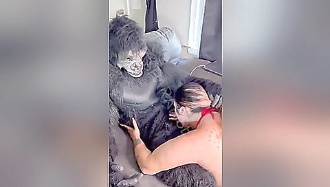 Gorilla Pimp